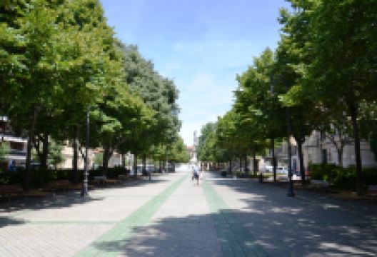 Paseo de Sarasate景点图片