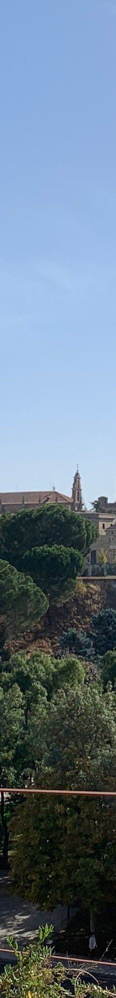 Cerro San Vicente-萨拉曼卡