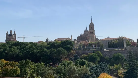 Cerro San Vicente