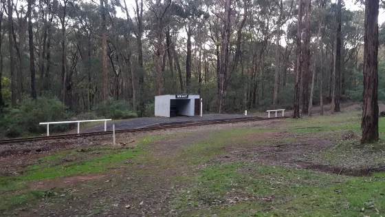 Wright Forest