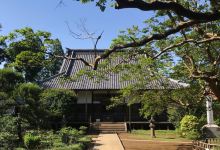 金乗院景点图片