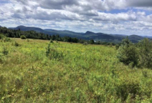 Sentinel Rock State Park景点图片
