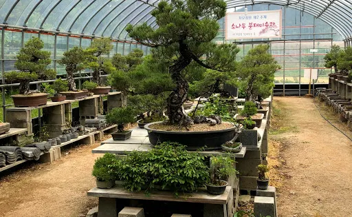 胡桃博物館