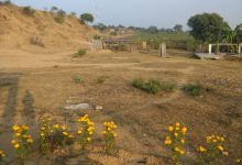 Jay Sat Guru Dev Ashram景点图片