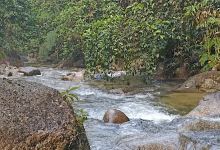 Gunung Bar Gading景点图片
