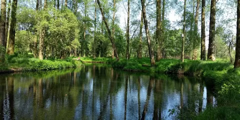 Annaginny Fishery and Park Farm