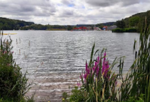 Skatepark du Lac de Caniel景点图片