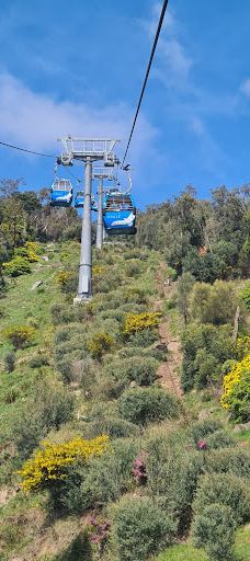 Arthurs Seat Eagle - Summit Station-德罗马纳