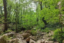 Соко Град водопад景点图片