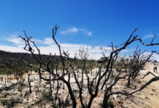 Lost City景点图片