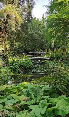 Alter Botanischer Garten-基尔