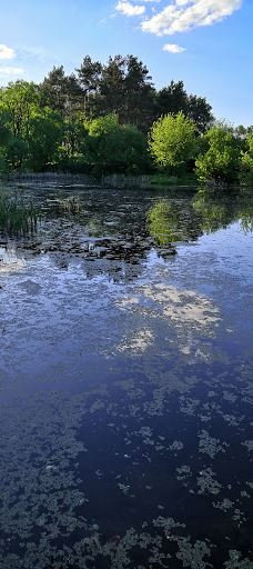 Komsomol'skiy Park-图拉