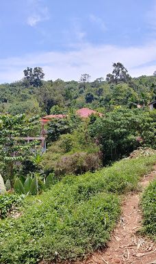 Ton Pring Waterfall-泰孟