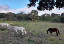 Finca Campos Arias景点图片