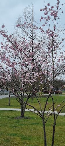 Karolinelund-奥尔堡