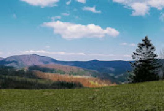 Strážovske vrchy景点图片