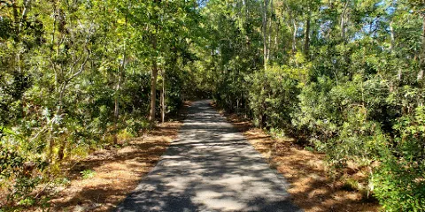Sea Pines Forest Preserve