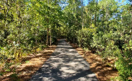 Sea Pines Forest Preserve