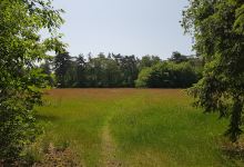 Picnic Ulvenhout景点图片