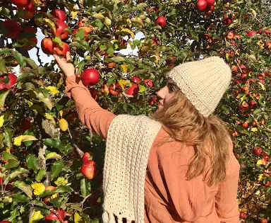 TNT Produce