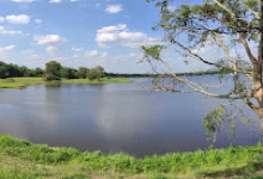 Medawachchiya Mahawewa景点图片