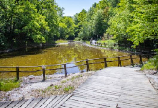 Red Lake景点图片