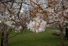 Ellisville Parks & Recreation景点图片