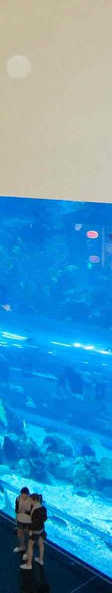 迪拜水族馆和水下动物园-迪拜