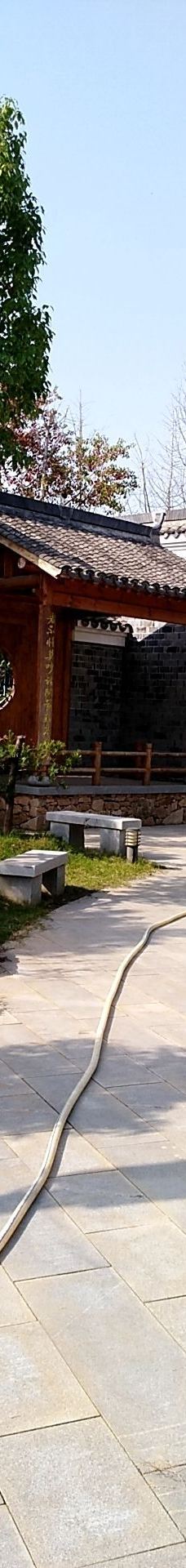 黄石华侨城恐龙奇域-大冶