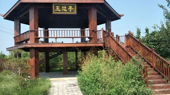 王過亭