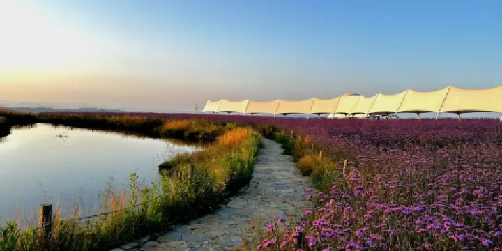 高坡姊妹湖-露營地