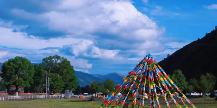 林卡露營地（魚子西店）