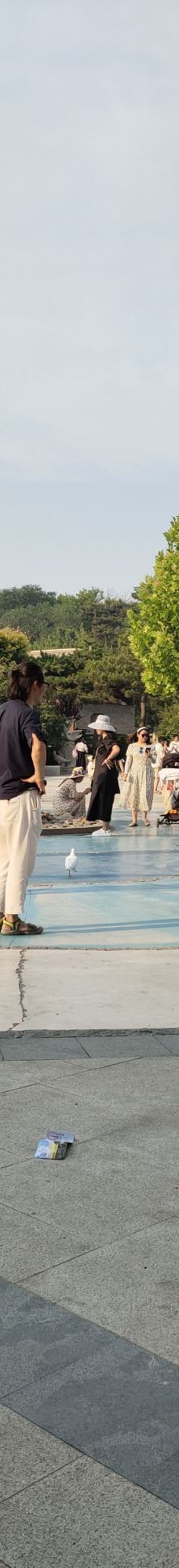 鸽子窝海鸥海滩-秦皇岛