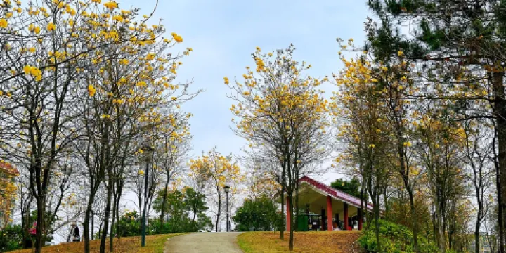 金雞嶺森林公園-濕地公園