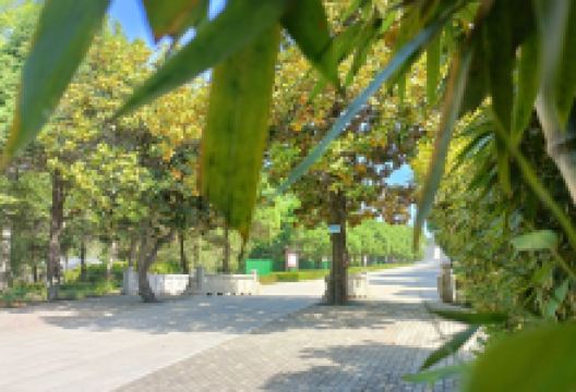 竹沟革命烈士陵园景点图片