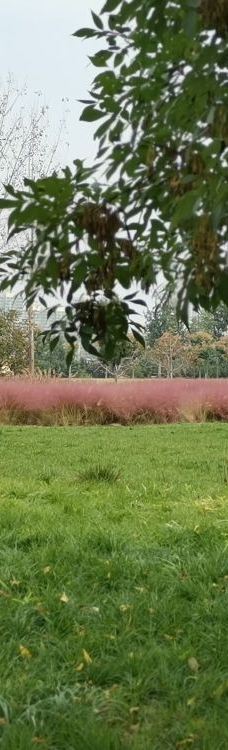 庙底沟考古遗址公园-三门峡