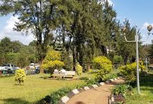 Millenium Park ሚሊኒየም መናፈሻ景点图片