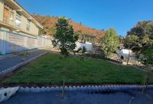 Evergreen Nursery Damoh购物图片