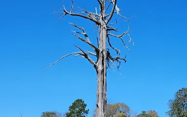 Historic Rural Hill Farm