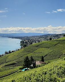 Terrasses viticoles de Lavaux-Lavaux-Oron District