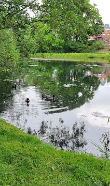 Tyrelodspynten-瓦埃勒