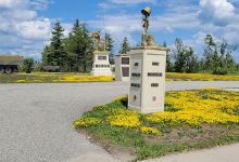 Our Veterans Park景点图片