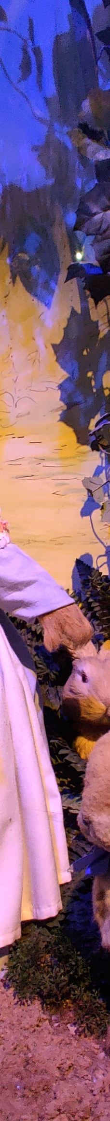 彼得兔世界-鲍内斯温德米尔