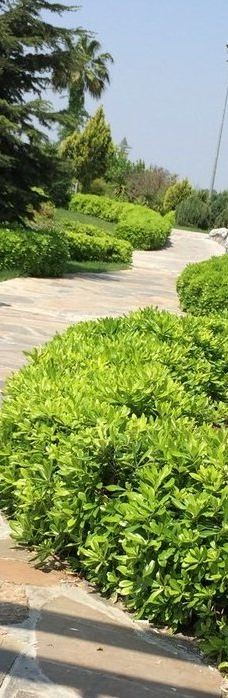 阿达纳中央公园-阿达纳