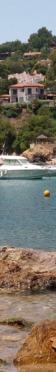 Playa Sa Riera-巴古尔