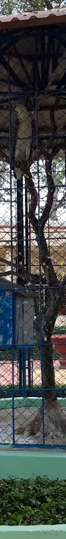 Dong Tam Snake Farm-周城县