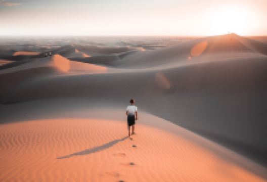 Imperial Sand Dunes景点图片