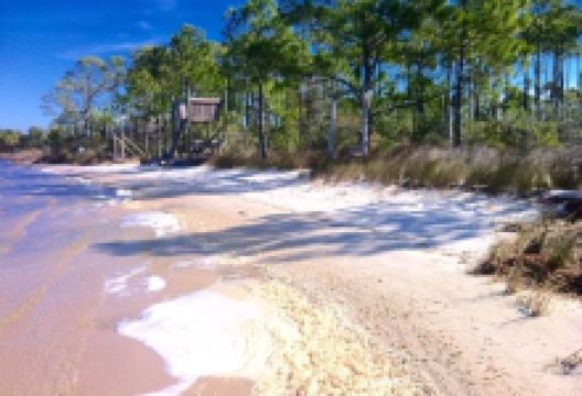 Jolee Island Nature Park景点图片