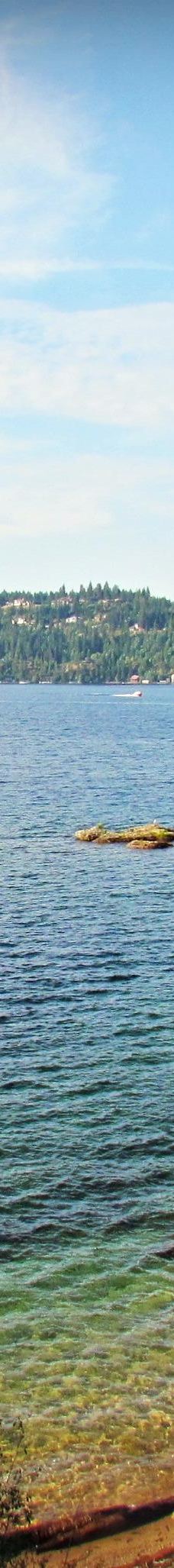 Tubbs Hill-科达伦