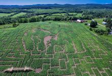 Great Vermont Corn Maze景点图片